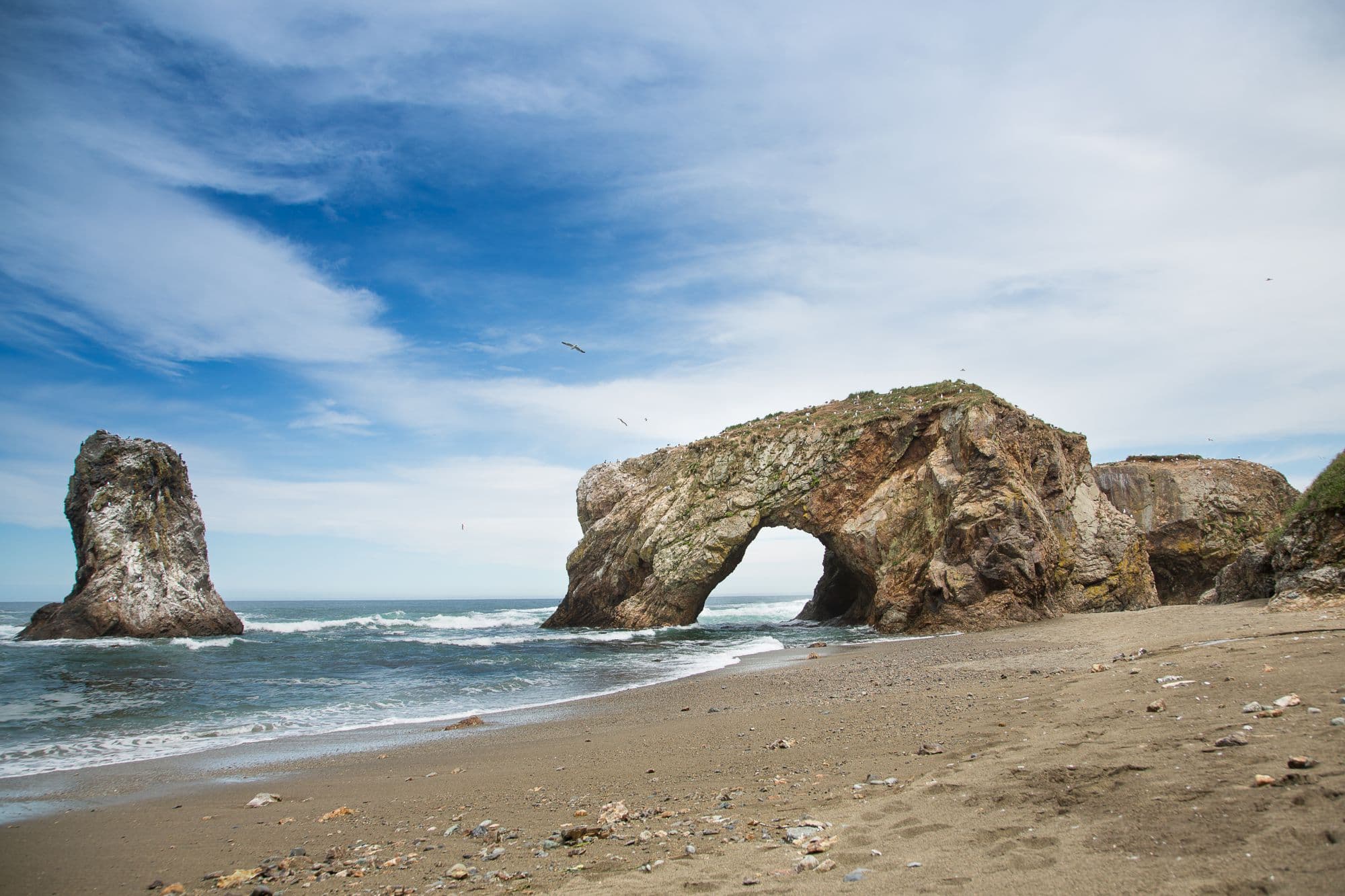 Всё и сразу о. Сахалин (стандартный) - фото 4