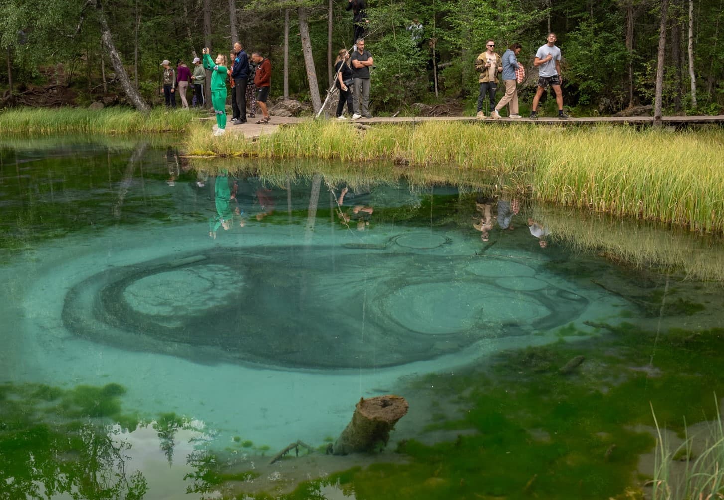 Золотое кольцо Алтая - фото 5