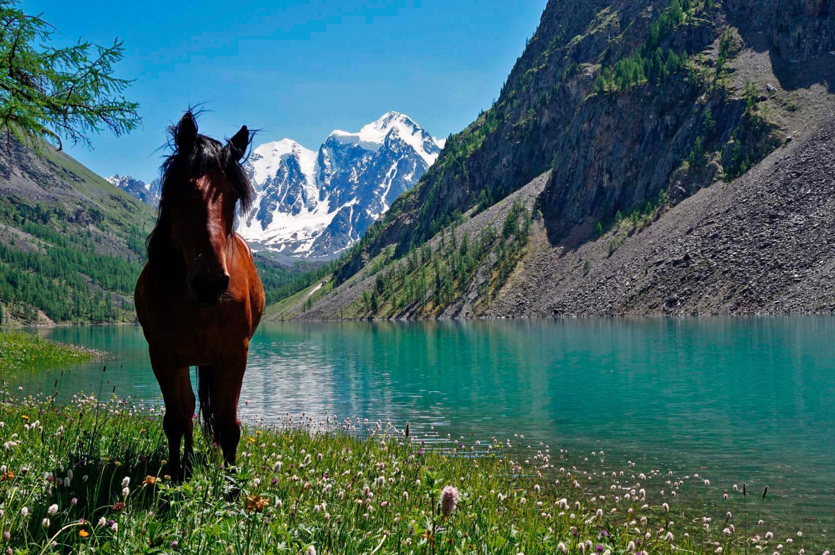 "Шавлинское зазеркалье", пеший поход с вьючными лошадьми - фото 5