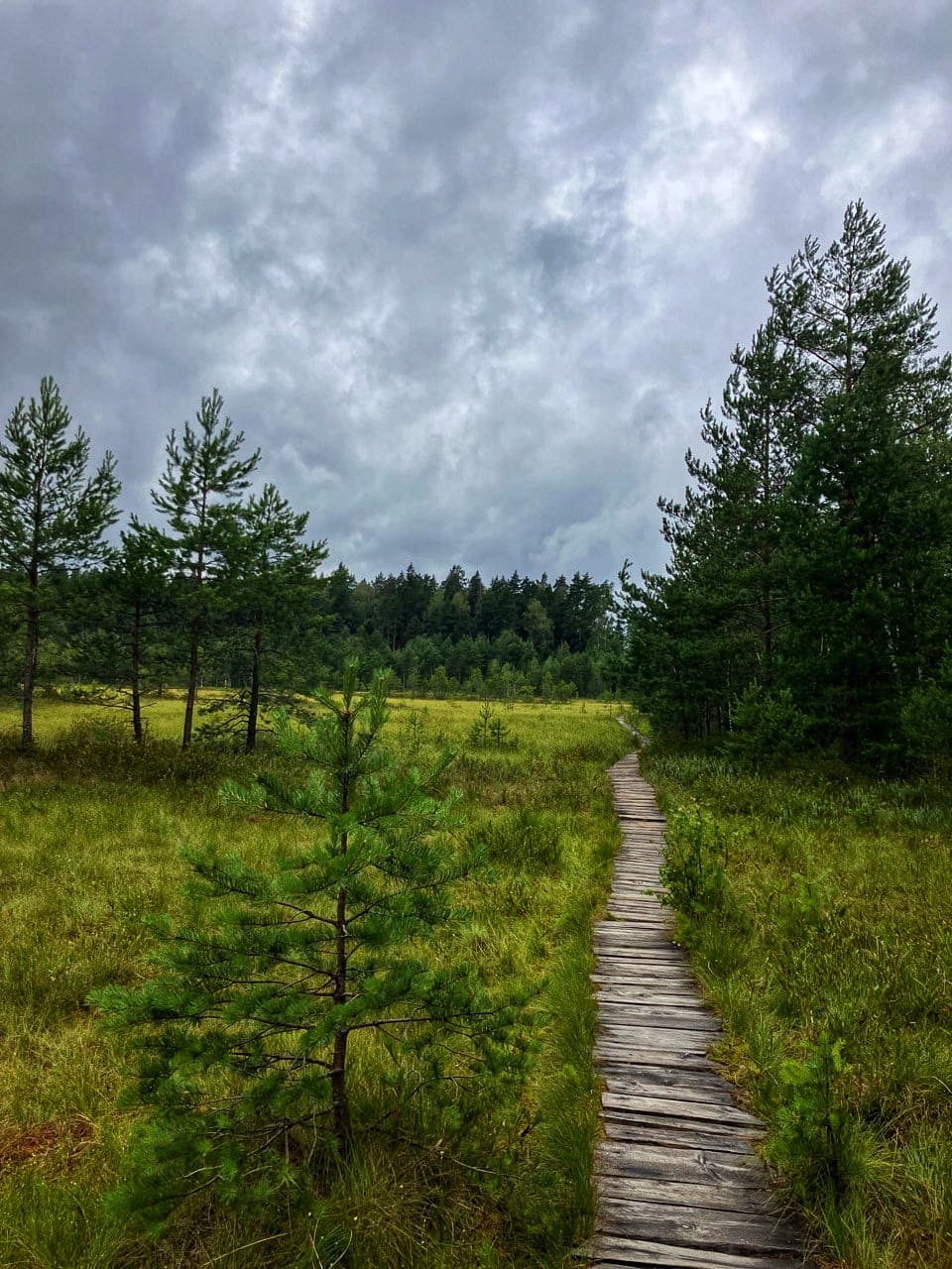Москва-река и Волковское болото