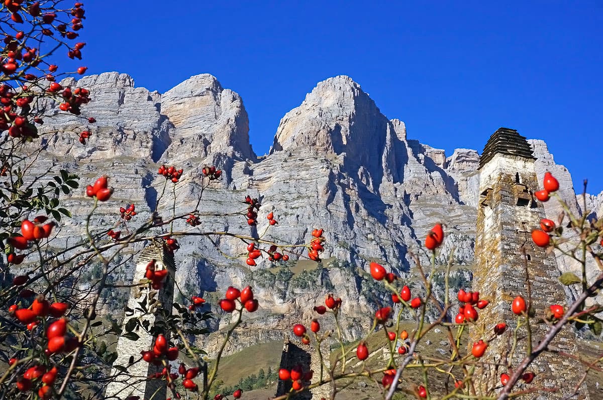 Треккинг в Ингушетии - фото 5