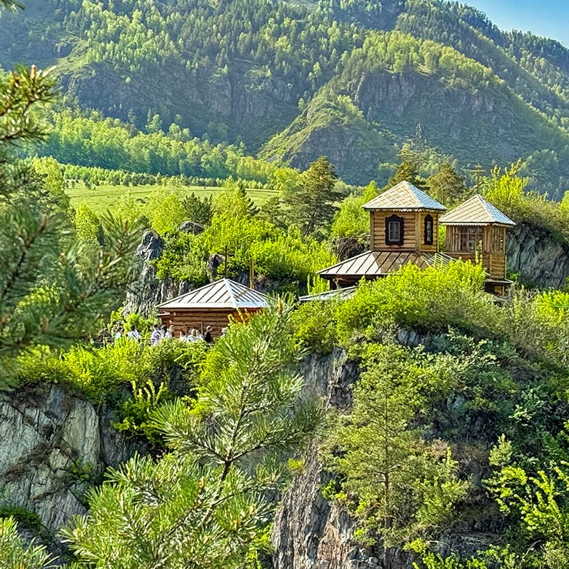 Цветение маральника на Алтае. Майские в сиреневых горах. - фото 10