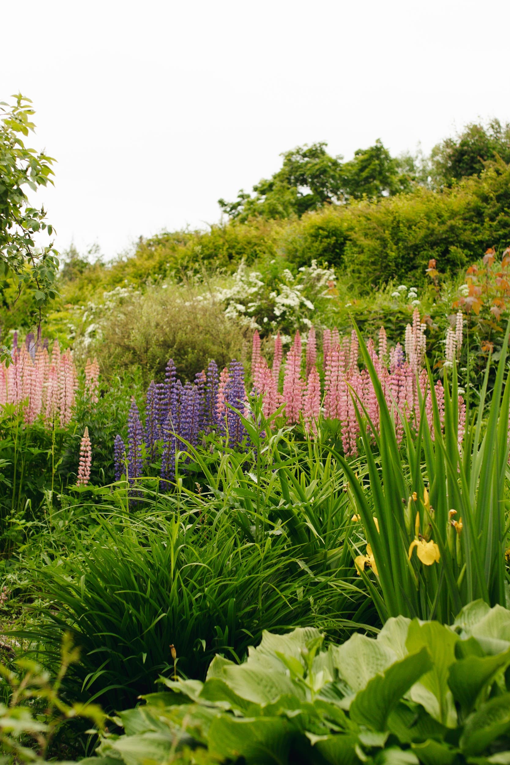 ЭКСКУРСИЯ НА ВАЛААМ ИЗ ПЕТРОЗАВОДСКА - фото 2