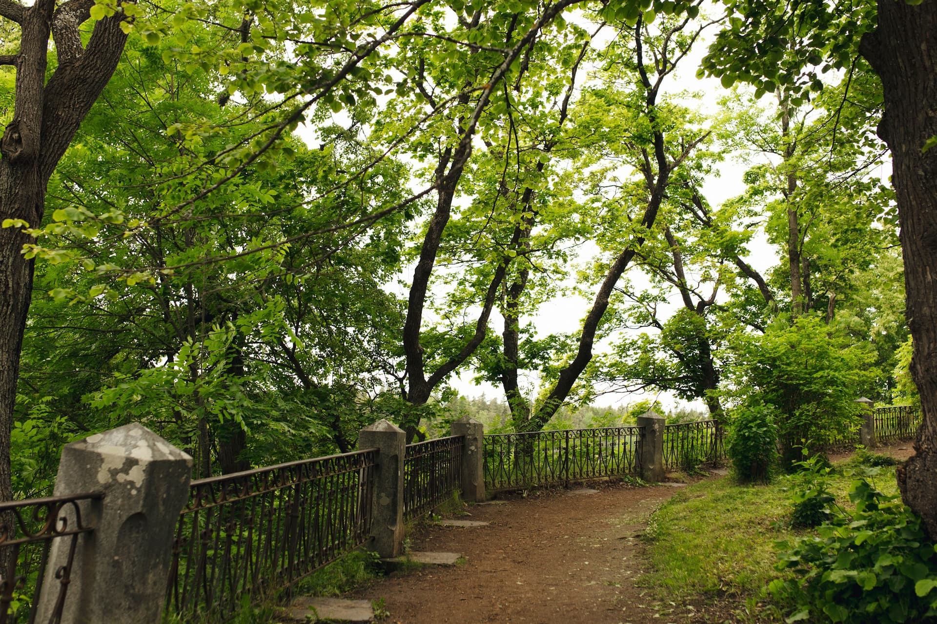 ЭКСКУРСИЯ НА ВАЛААМ ИЗ ПЕТРОЗАВОДСКА - фото 1