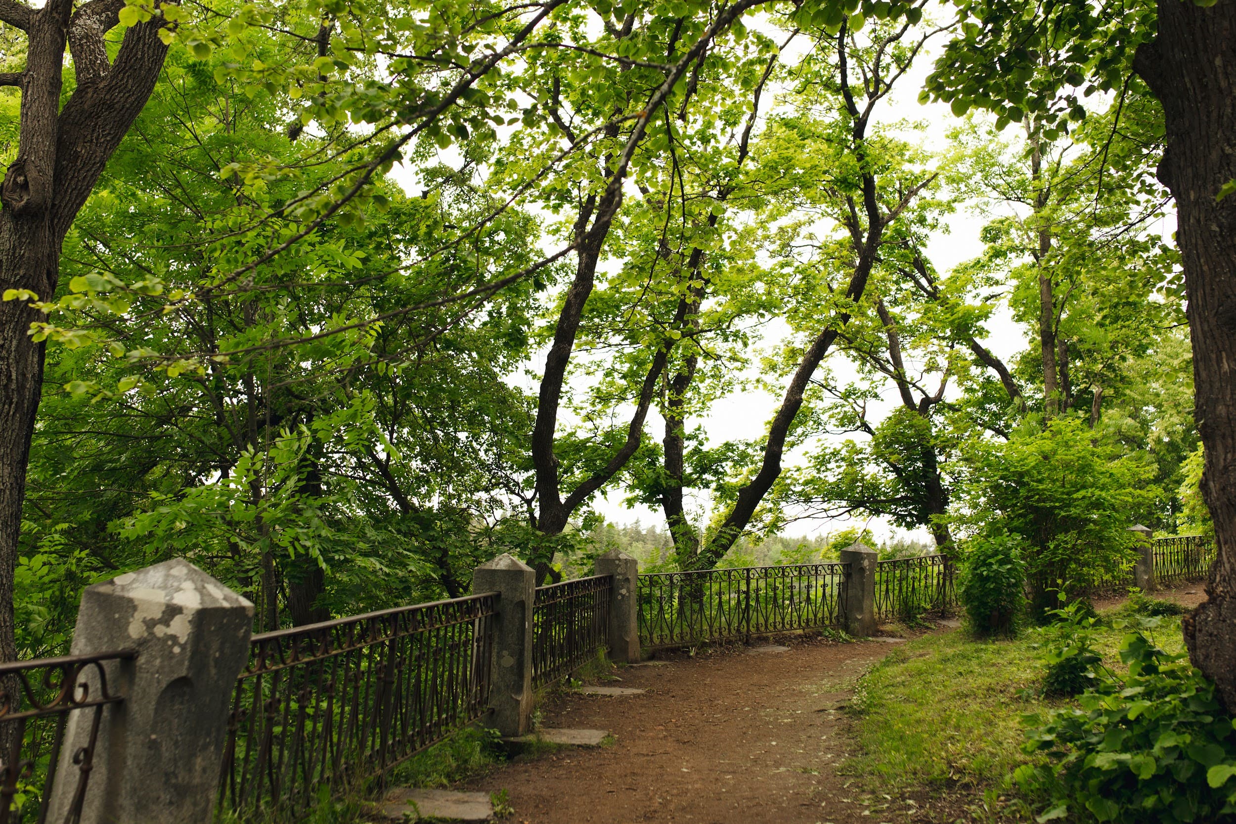 ЭКСКУРСИЯ НА ВАЛААМ ИЗ ПЕТРОЗАВОДСКА - фото 1