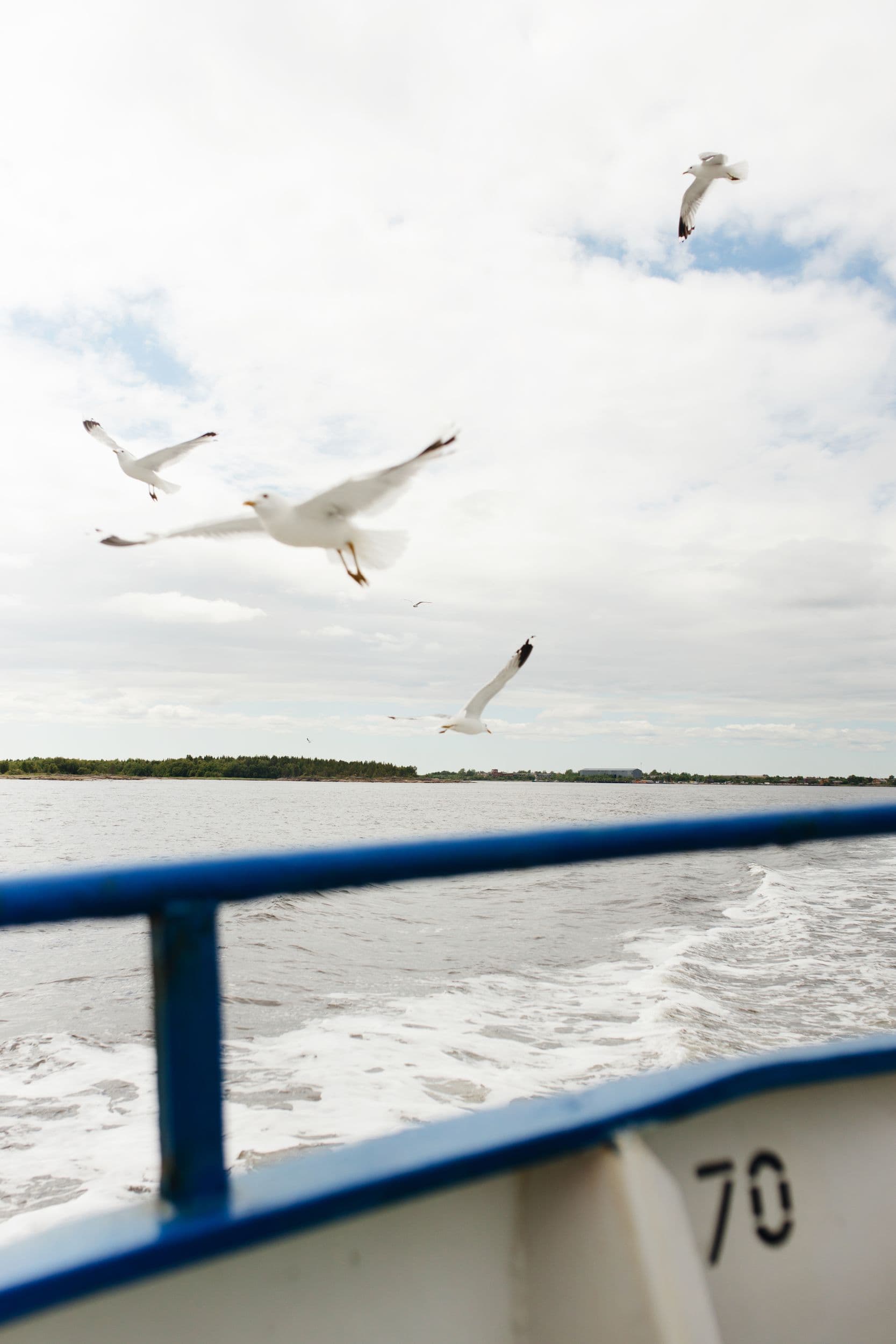 Морской переход и экскурсия по Соловецкому Кремлю