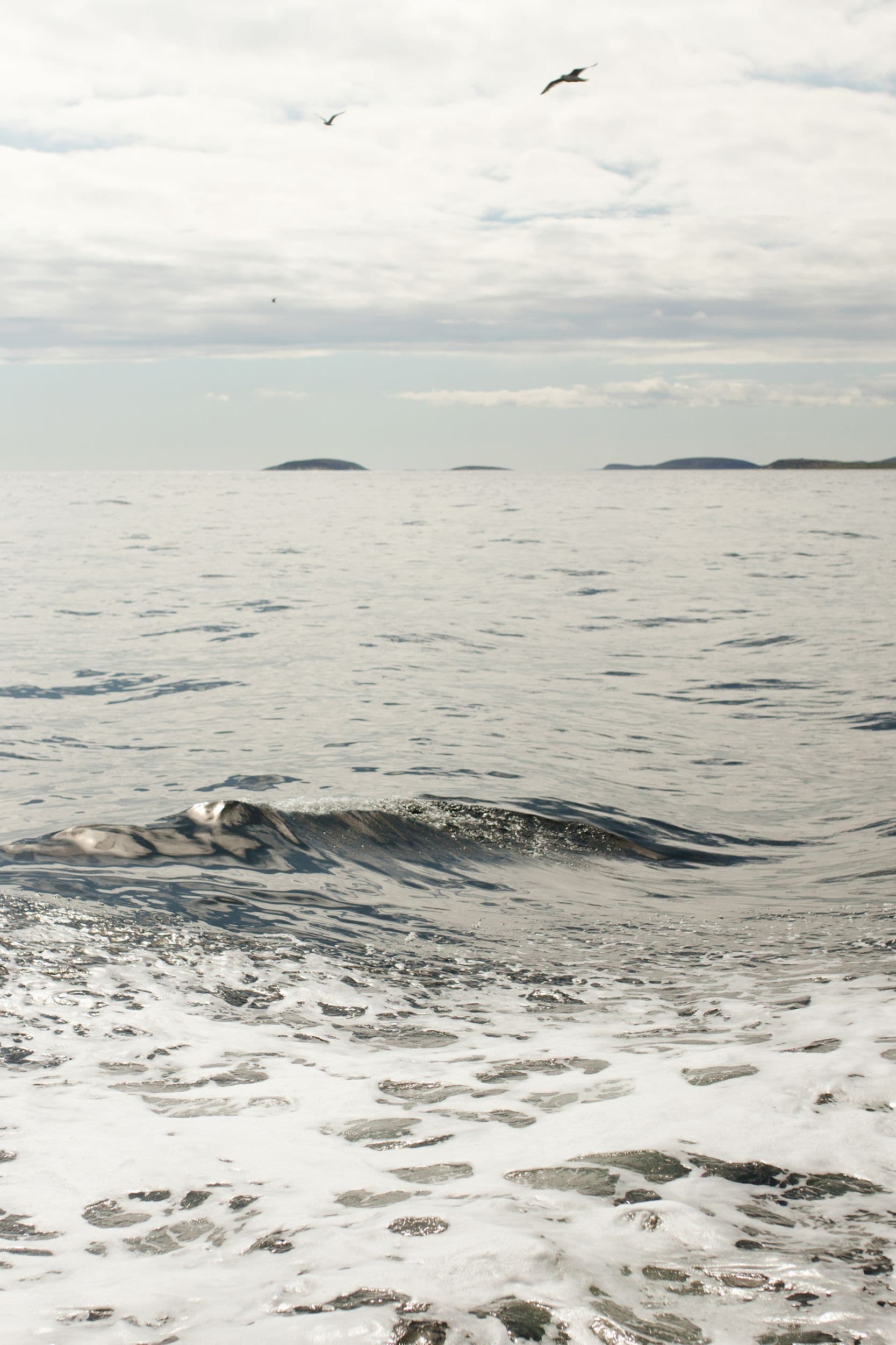 Прибытие в г.Кемь