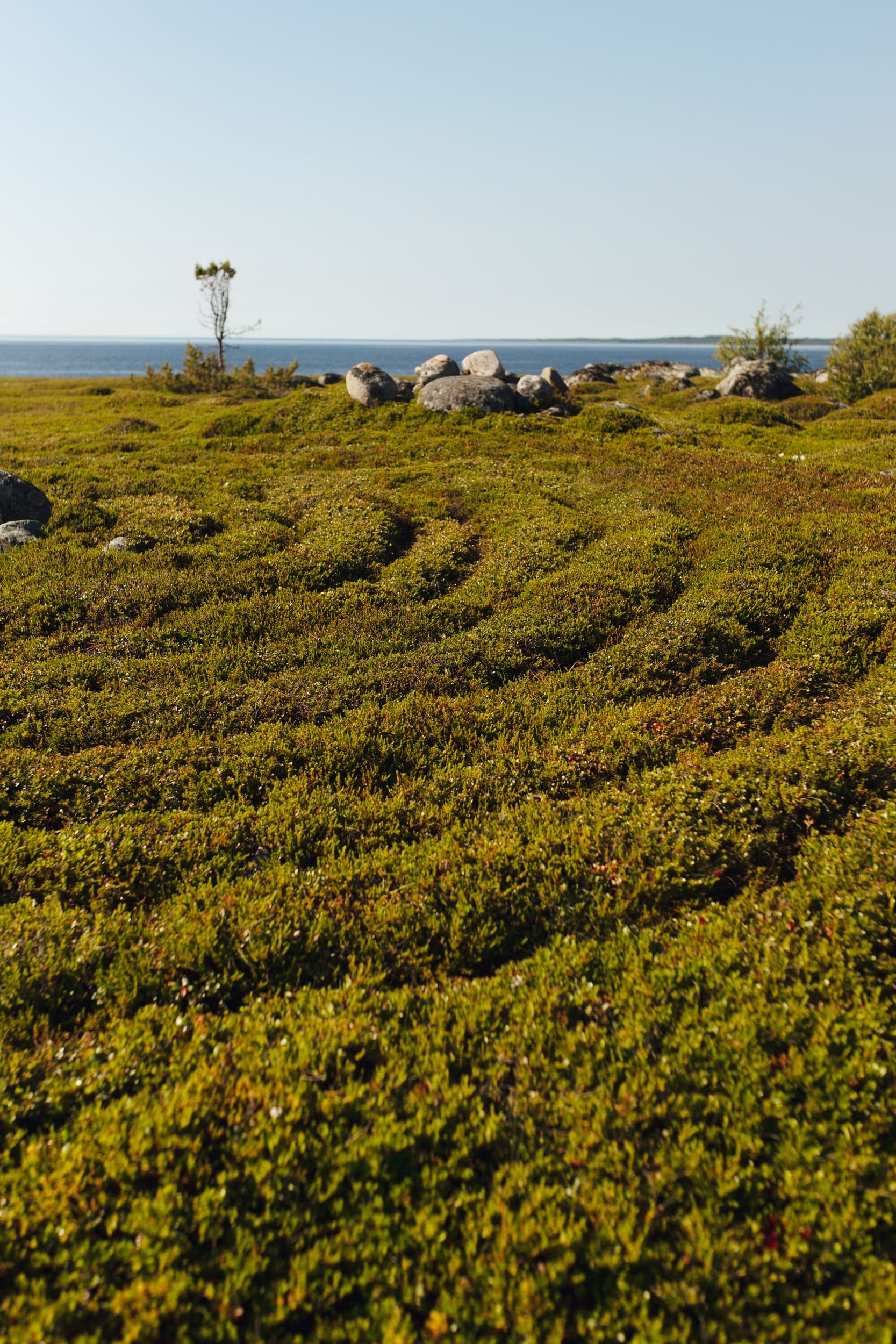 Соловки на 3 дня из Москвы - фото 2