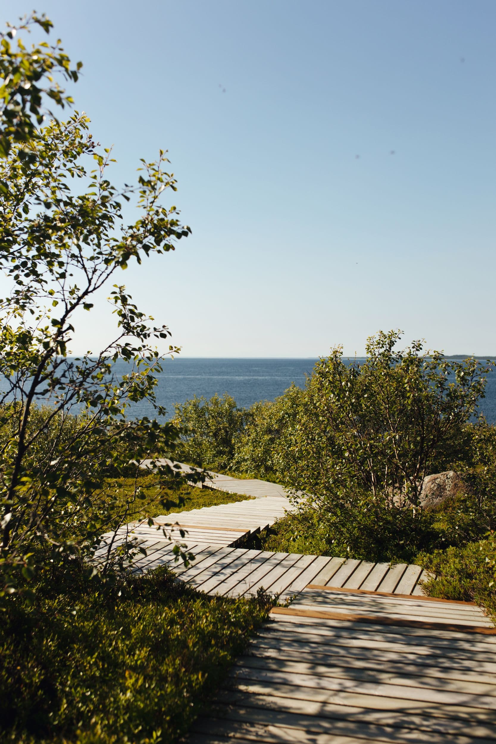 Соловки на 3 дня из Москвы - фото 6