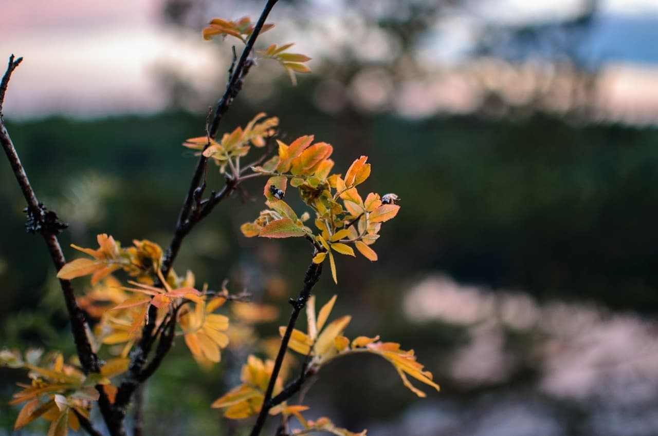 Собираемся и идём тропой Хошимина