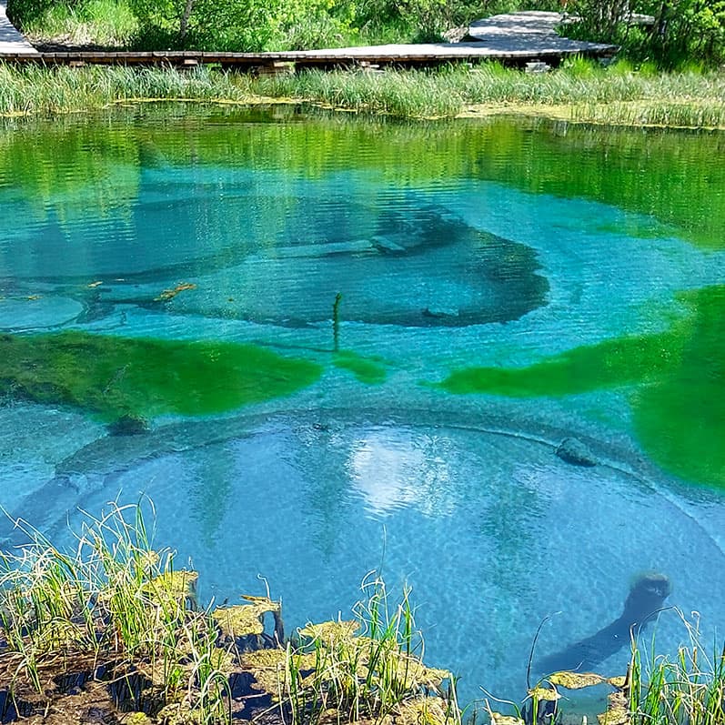 Треккинг на Алтай. Ущелье Актру - фото 4