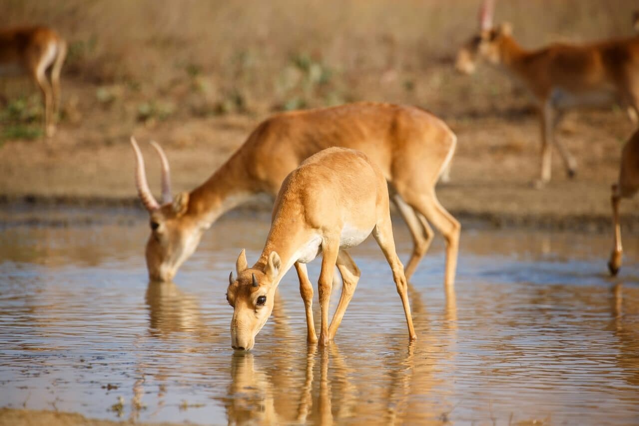 День 1 Приключение в страну Бумба