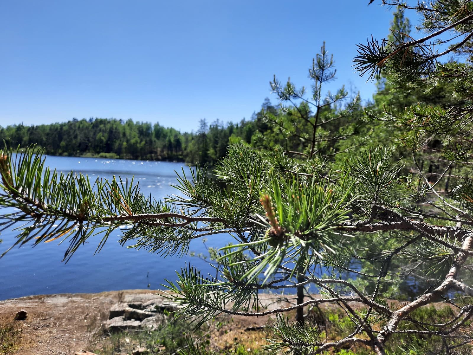 Электричка в Кузнечное и переход на стоянку