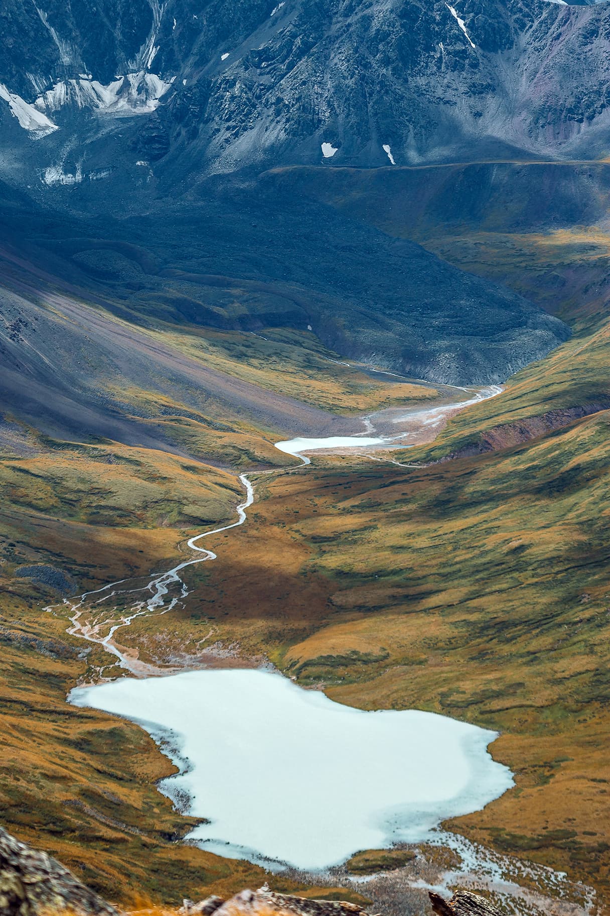 С питомцем на Укок. - фото 2