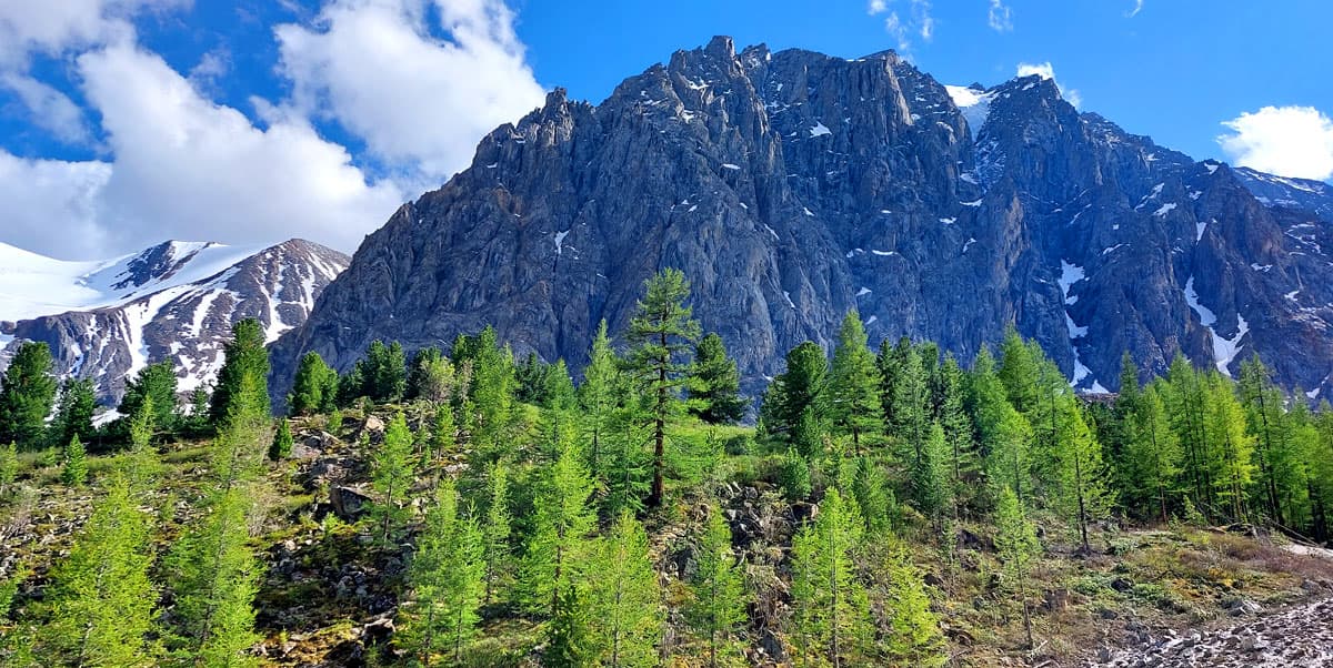 Горный лагерь на Алтае. Ущелье Актру - фото 4