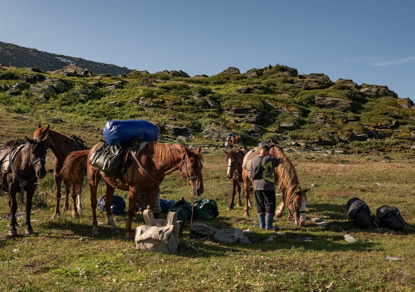 Пеший поход к Белухе с вьючными лошадьми - фото 9