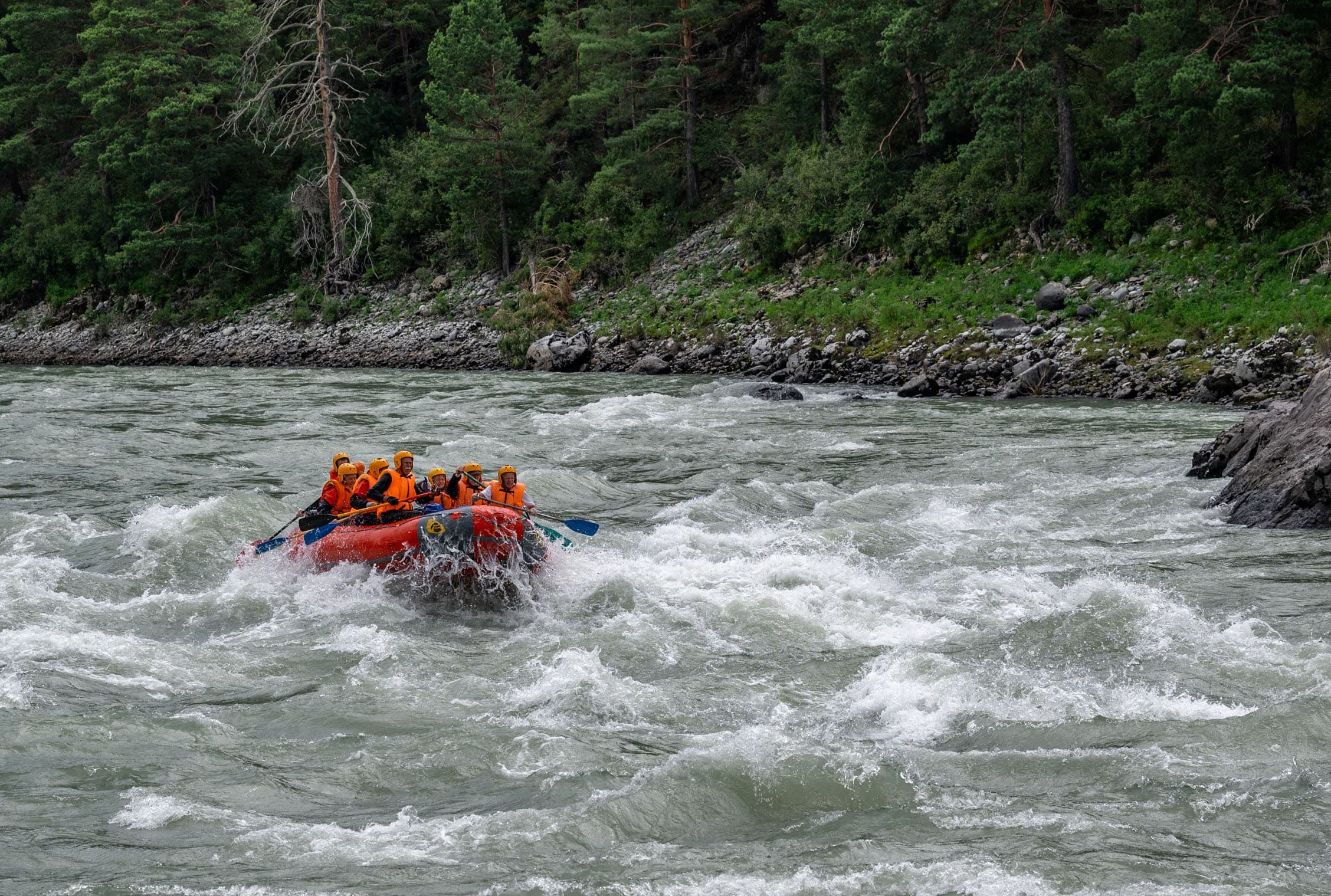 Сплав по нижней Катуни - фото 9