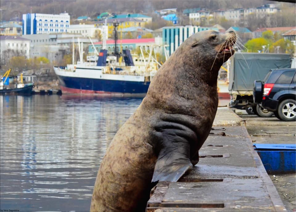 Программа экскурсии