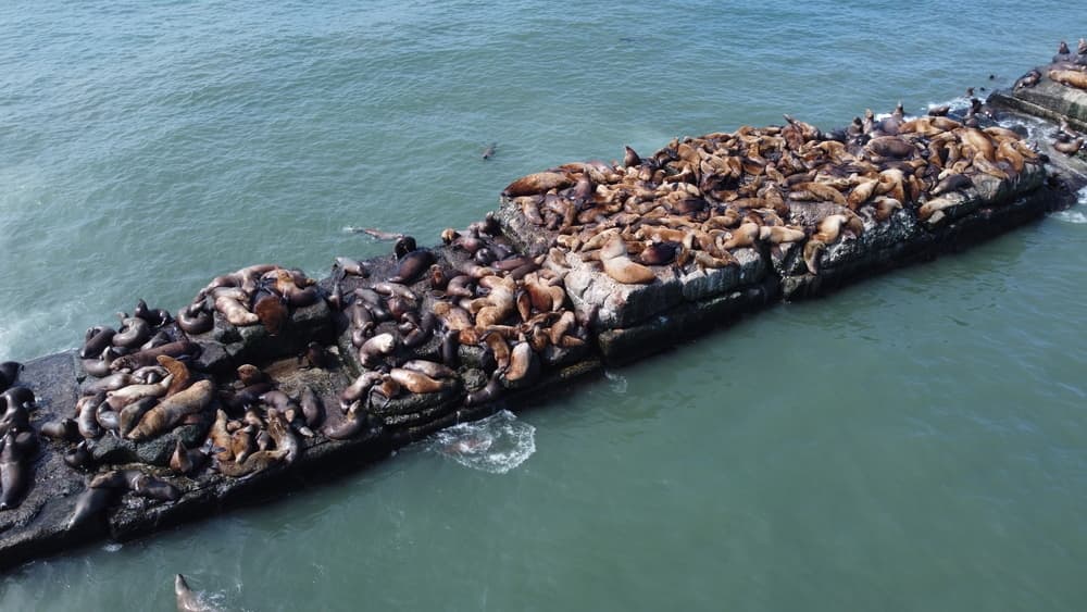 Маршрут экскурсии