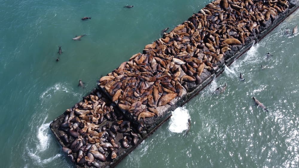 Маршрут экскурсии