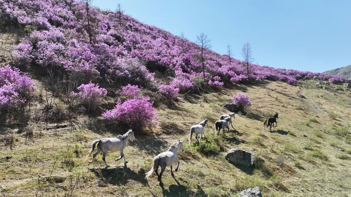 Автотур «Цветение маральника 3 дня» - фото 4