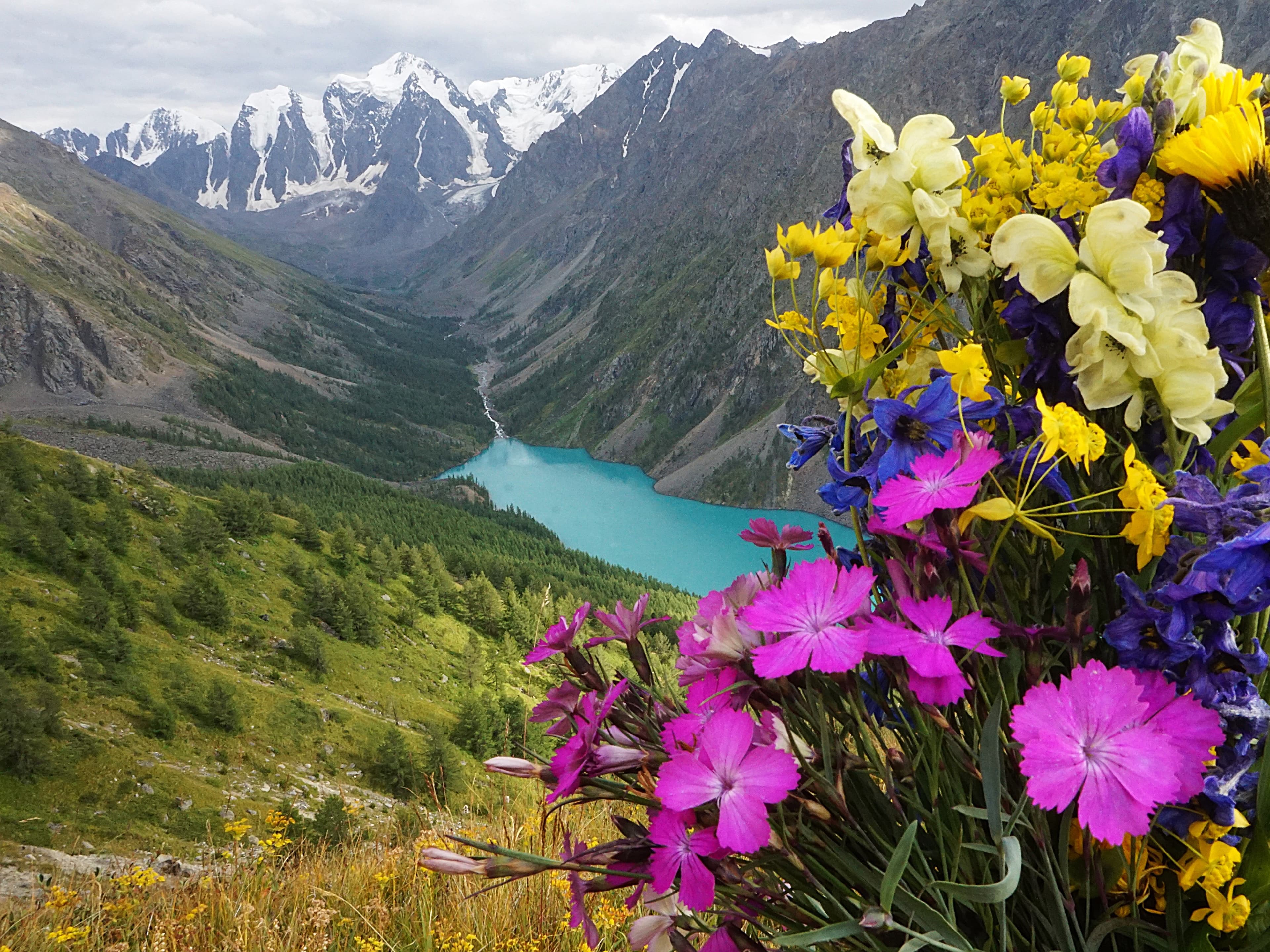 "Шавлинское зазеркалье", пеший поход с вьючными лошадьми - фото 6