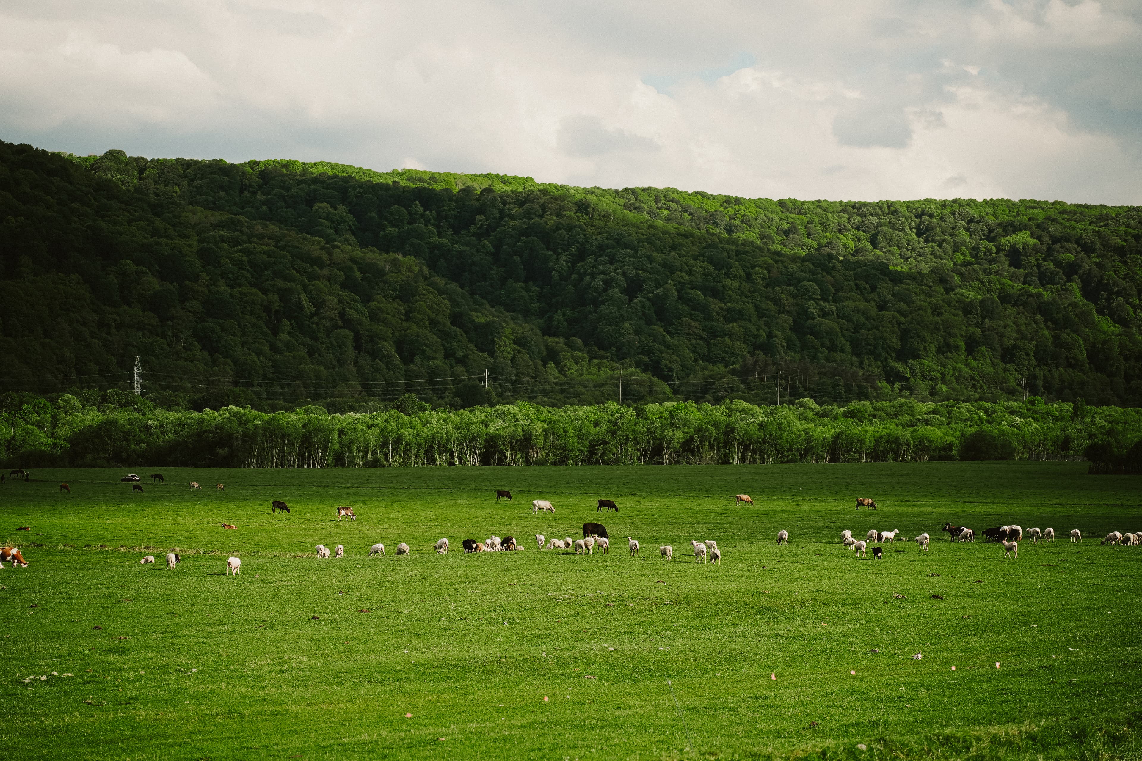 Республика Дагестан