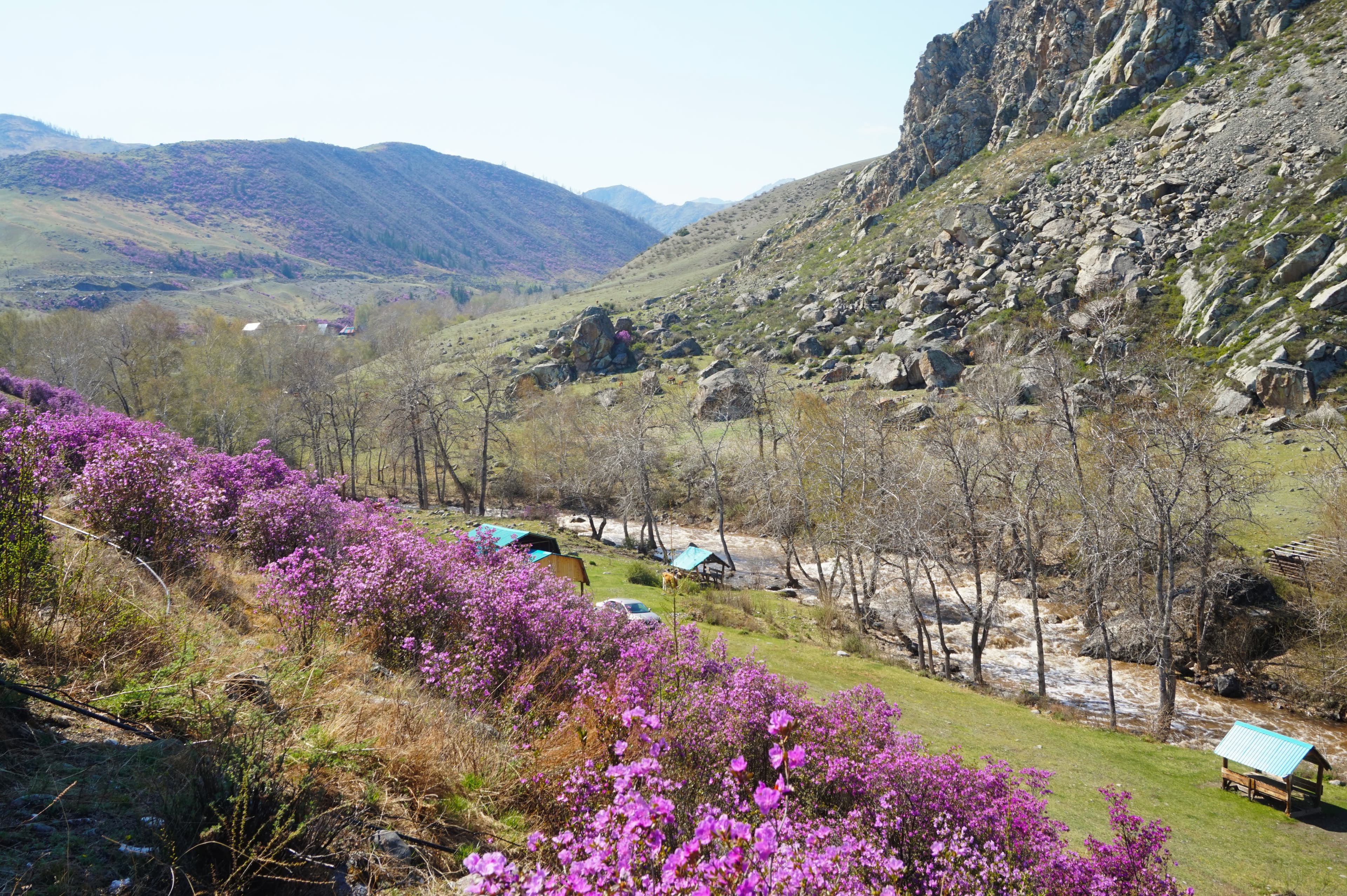 По следам древних путей: путешествие по Чуйскому тракту