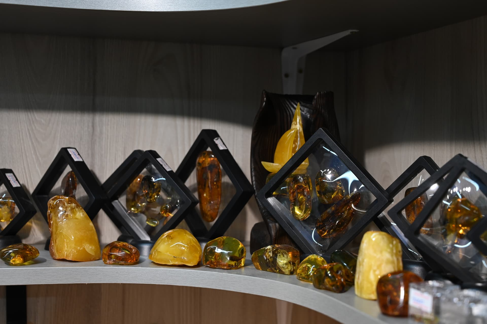 БАЛТИЙСКИЙ ВОЯЖ - фото 3