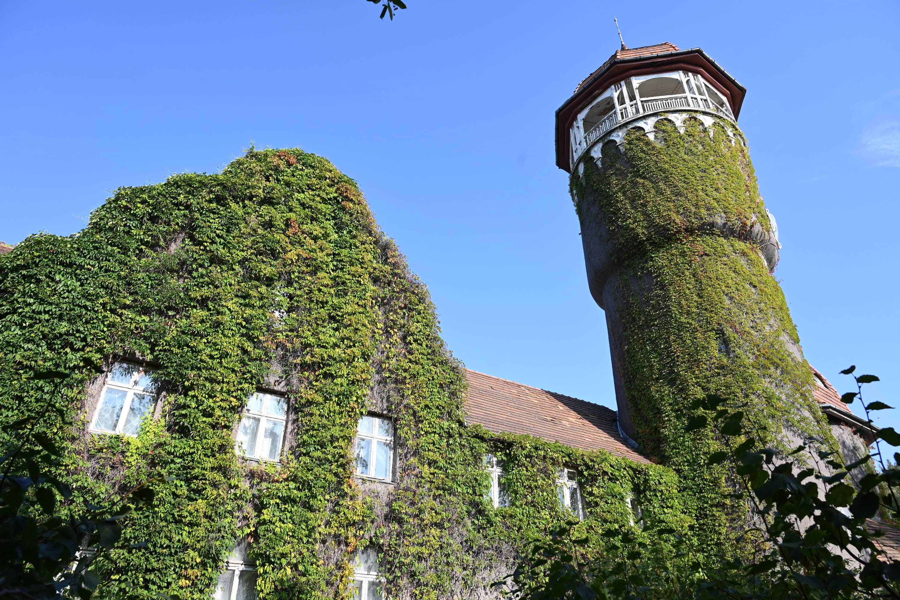 ПЕРВОМАЙ НА БАЛТИКЕ - фото 6