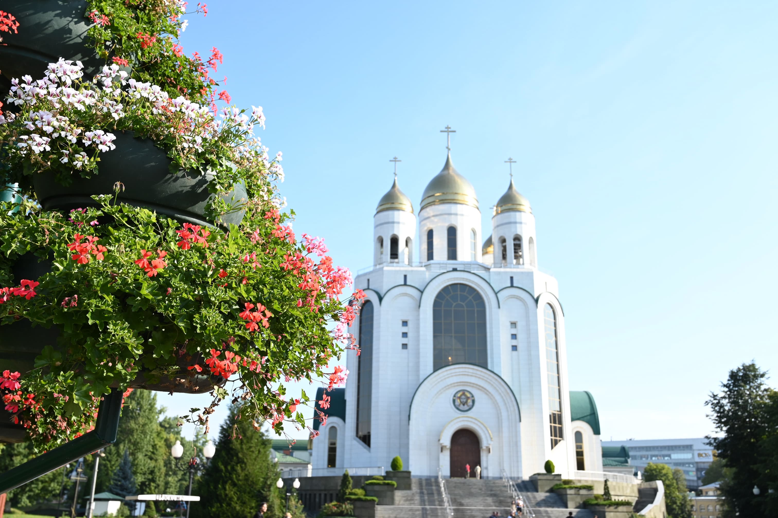 Балтийская панорама 2026 - фото 10