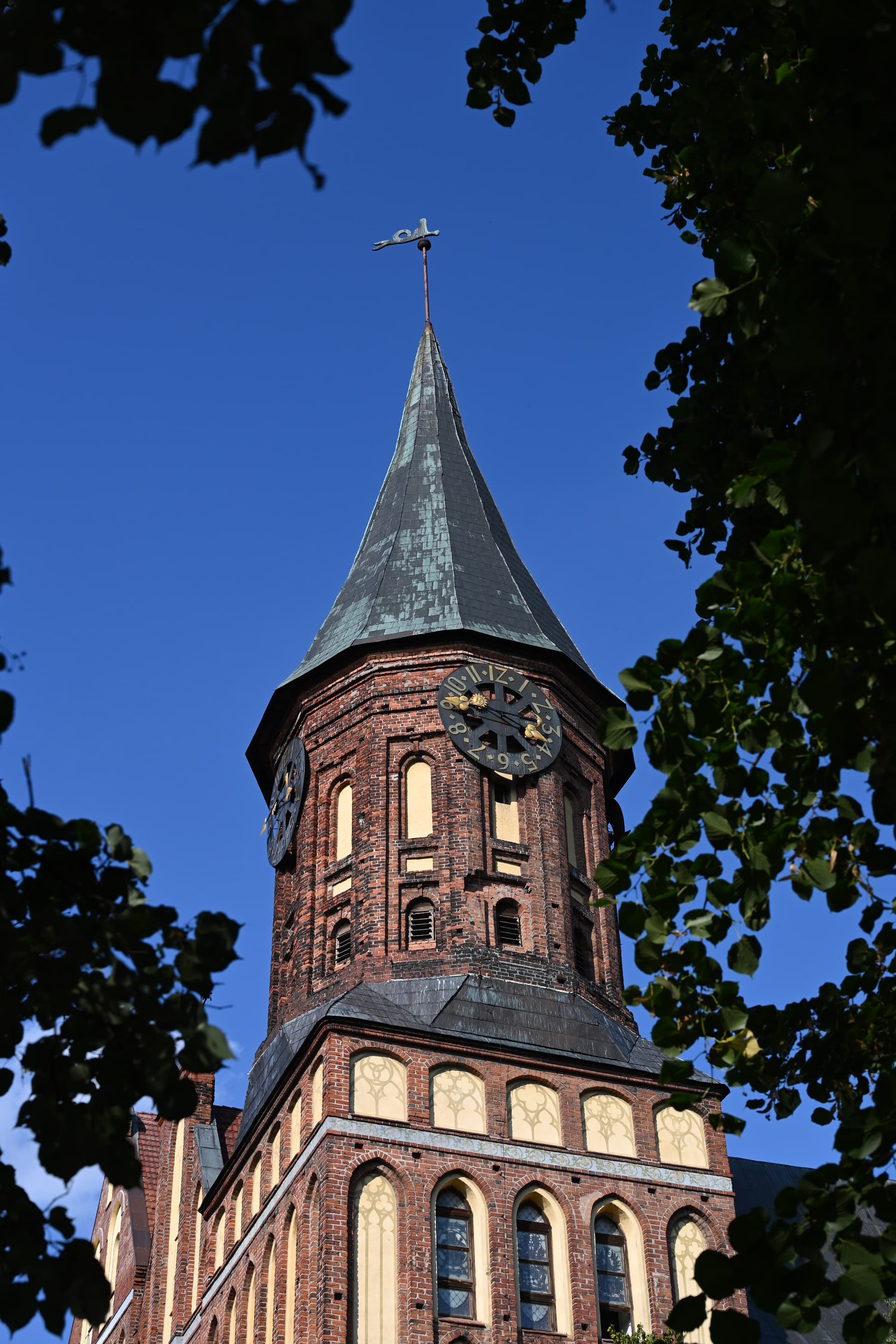 Балтийская панорама 2026 - фото 2