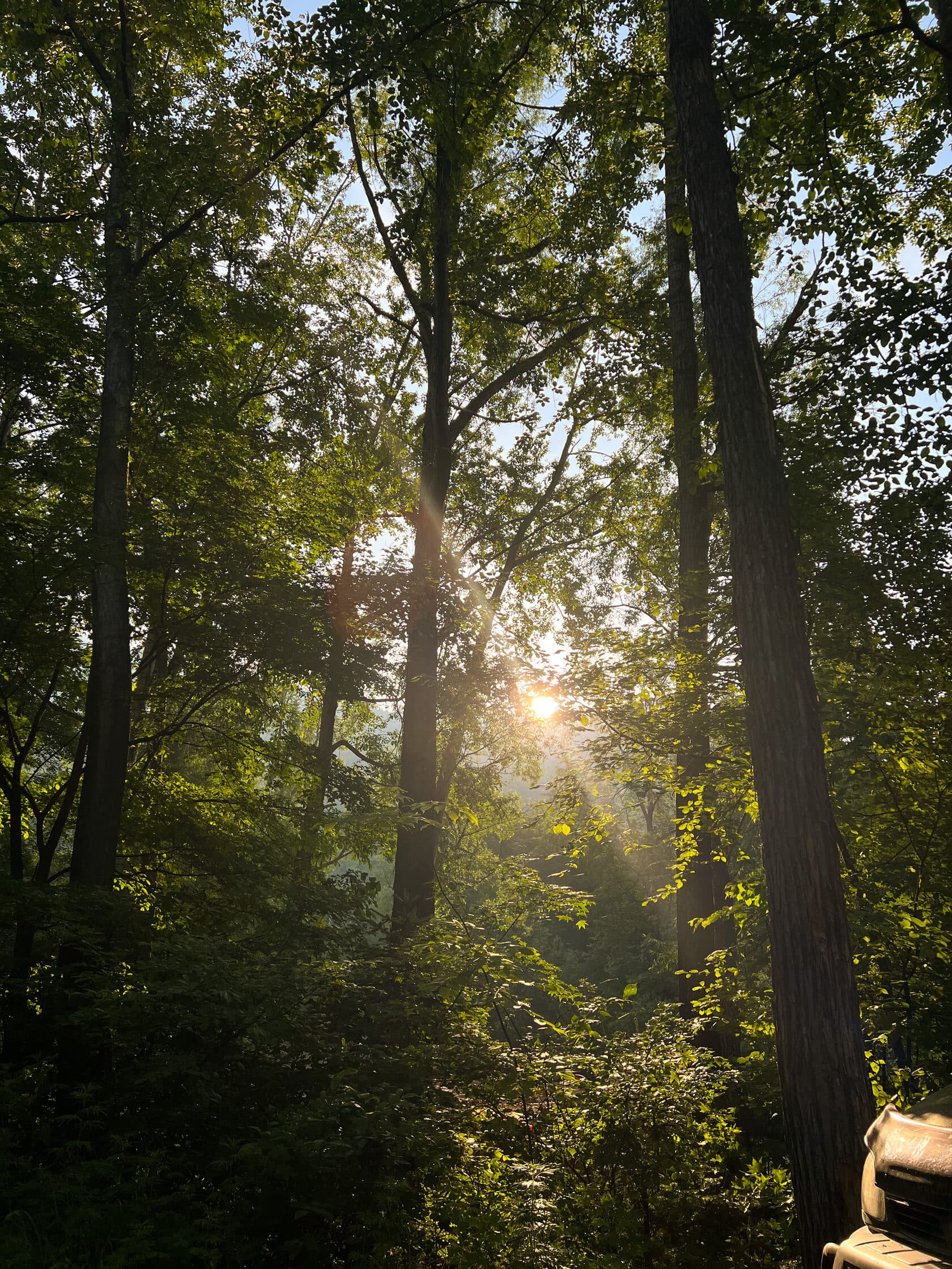 Север Приморья и водопад "Чёрный Шаман" - фото 5