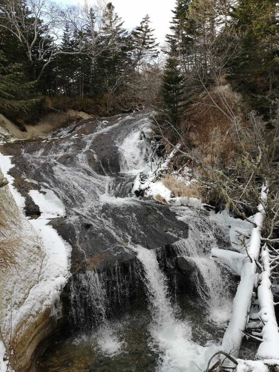 Обзорная экскурсия по красивым локациям острова Кунашир - фото 8