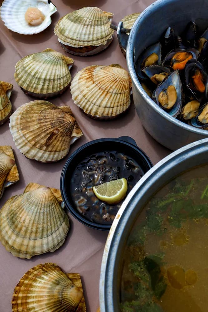 Гастротур на островах и морские тюлени