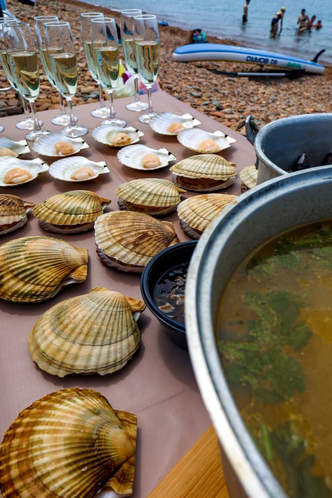 Гастротур на островах и морские тюлени - фото 3