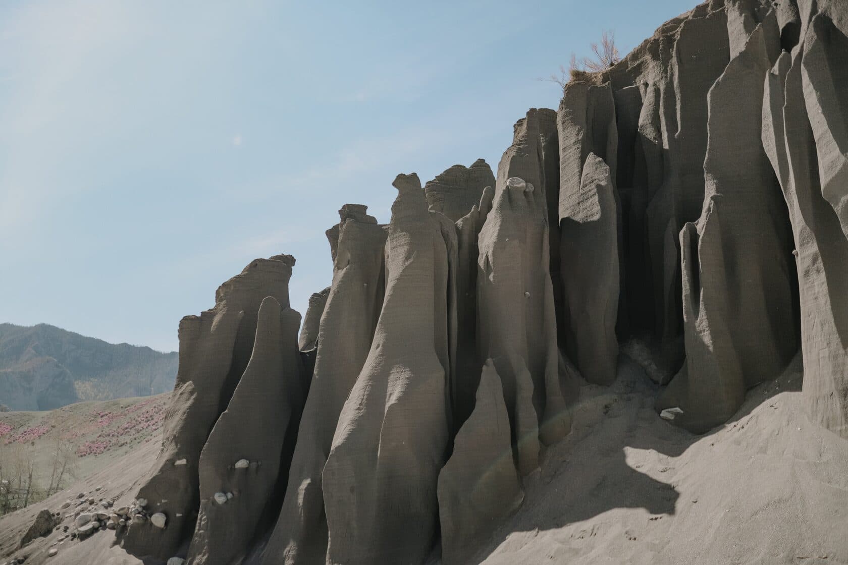 Весенний Алтай ( 5 дней ) - фото 4