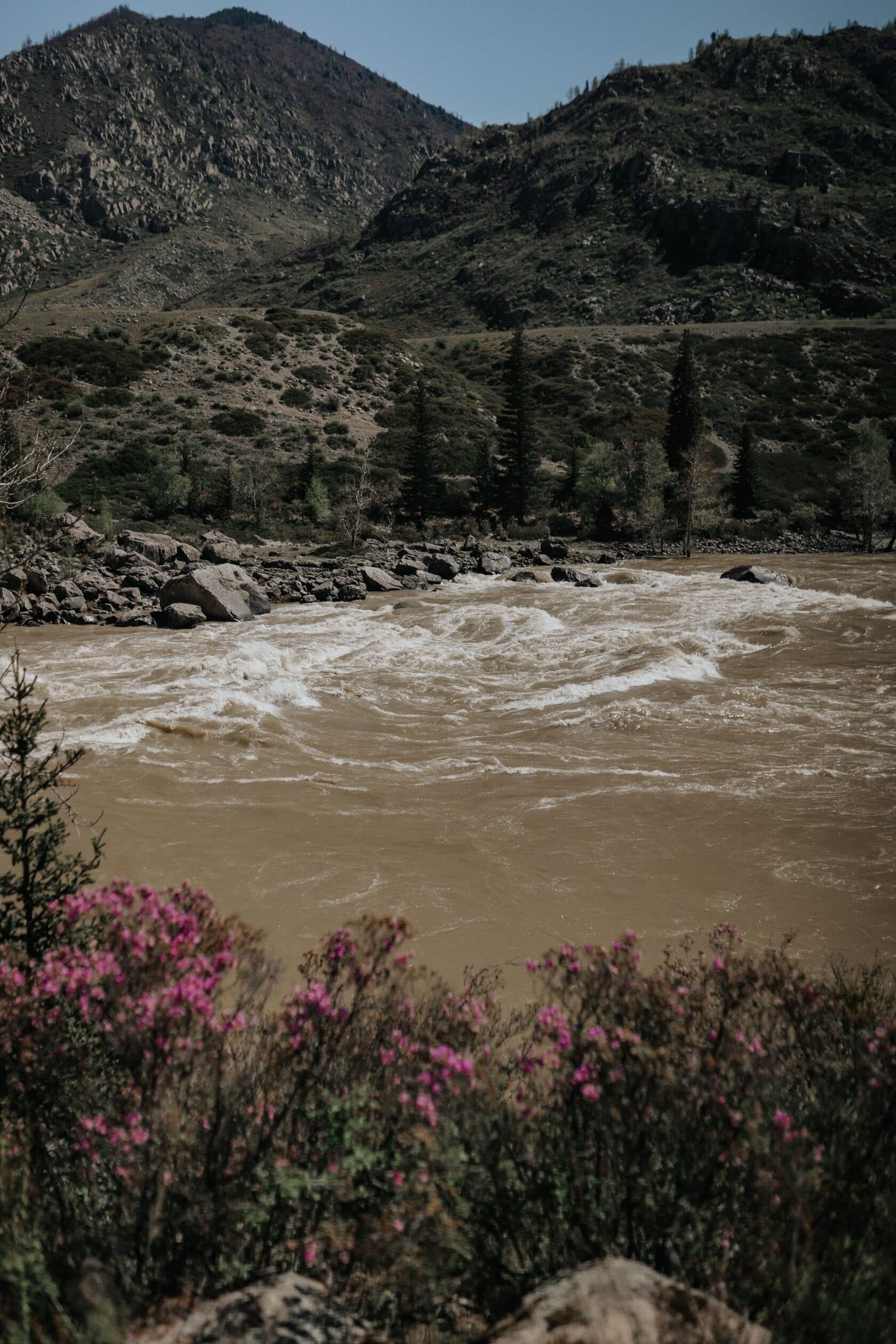 Весенний Алтай ( 5 дней ) - фото 7