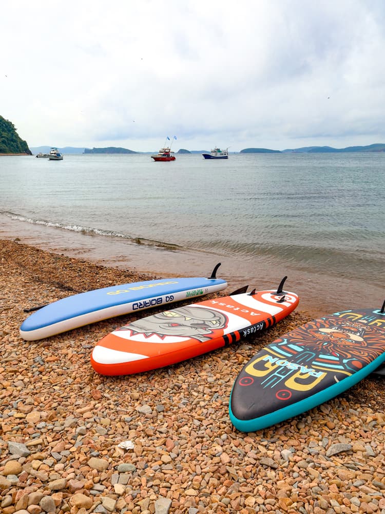 Гастротур на островах и морские тюлени - фото 4