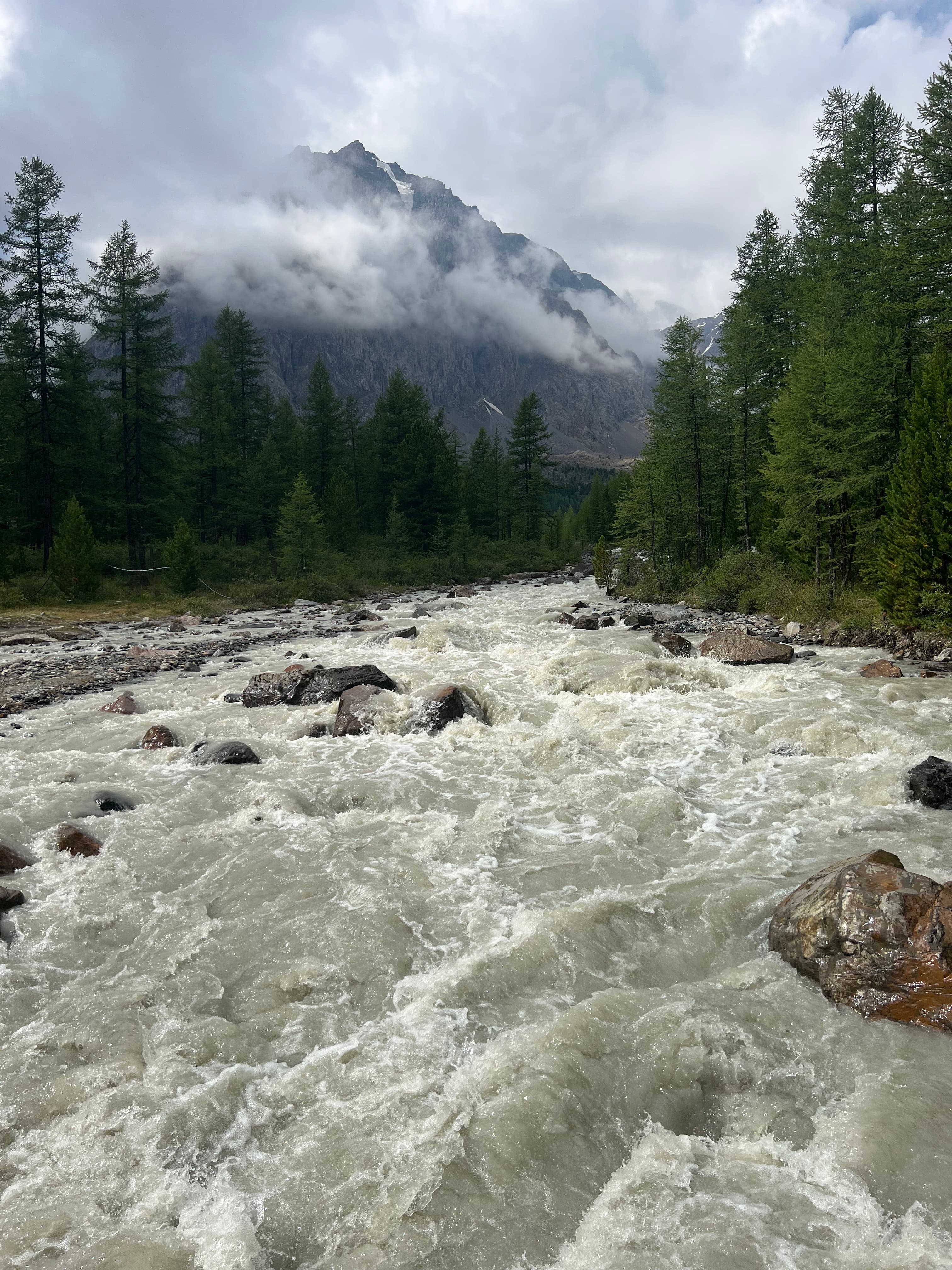 Тропы Алтая - фото 8