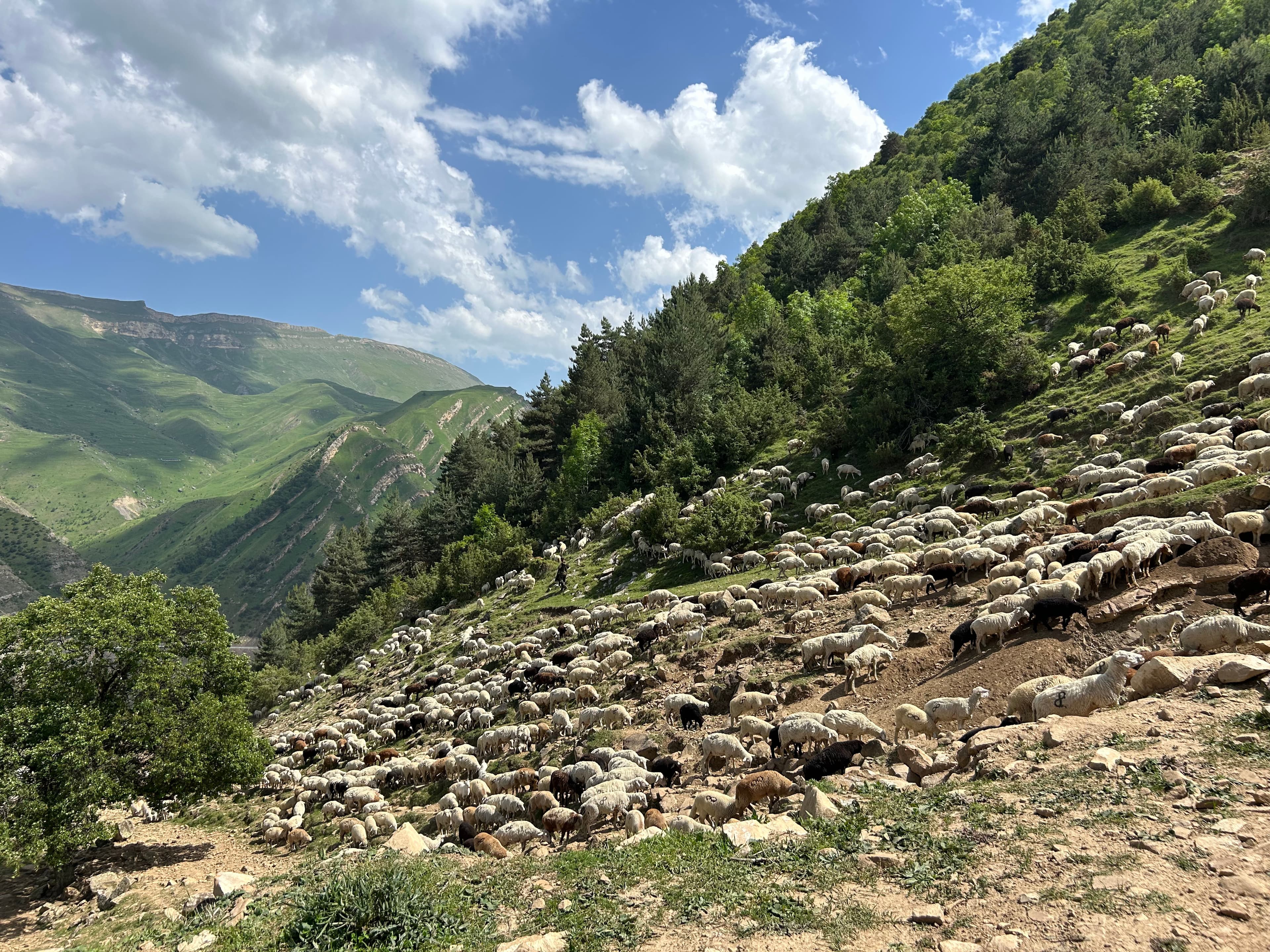 Гуниб и окрестности