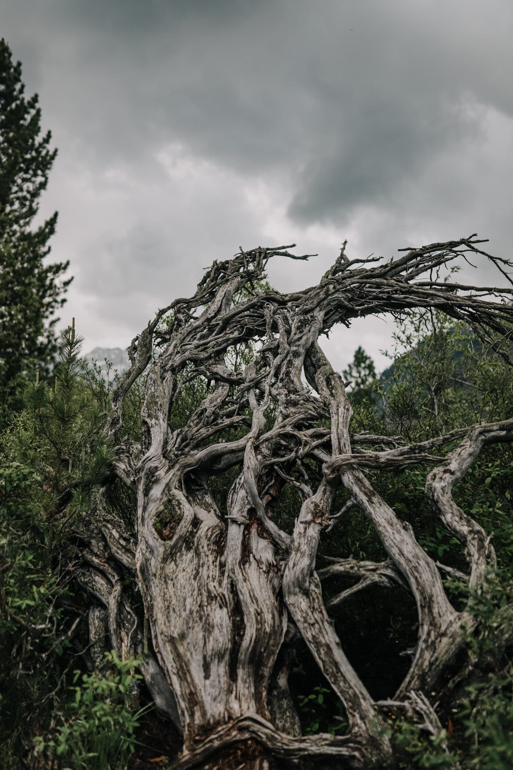 Мультинские озера ( 6 дней ) - фото 10