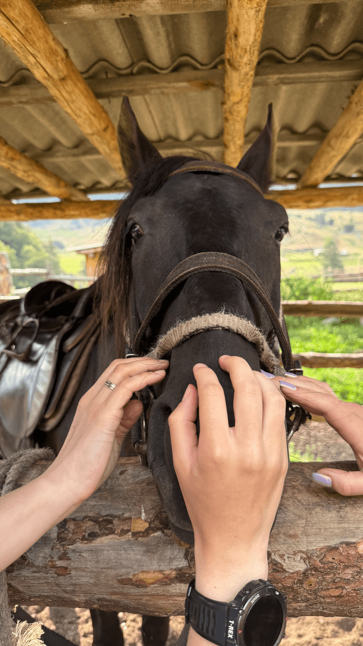 КОННЫЙ ТУР В СЕРДЦЕ ГОР КАВКАЗА - фото 5
