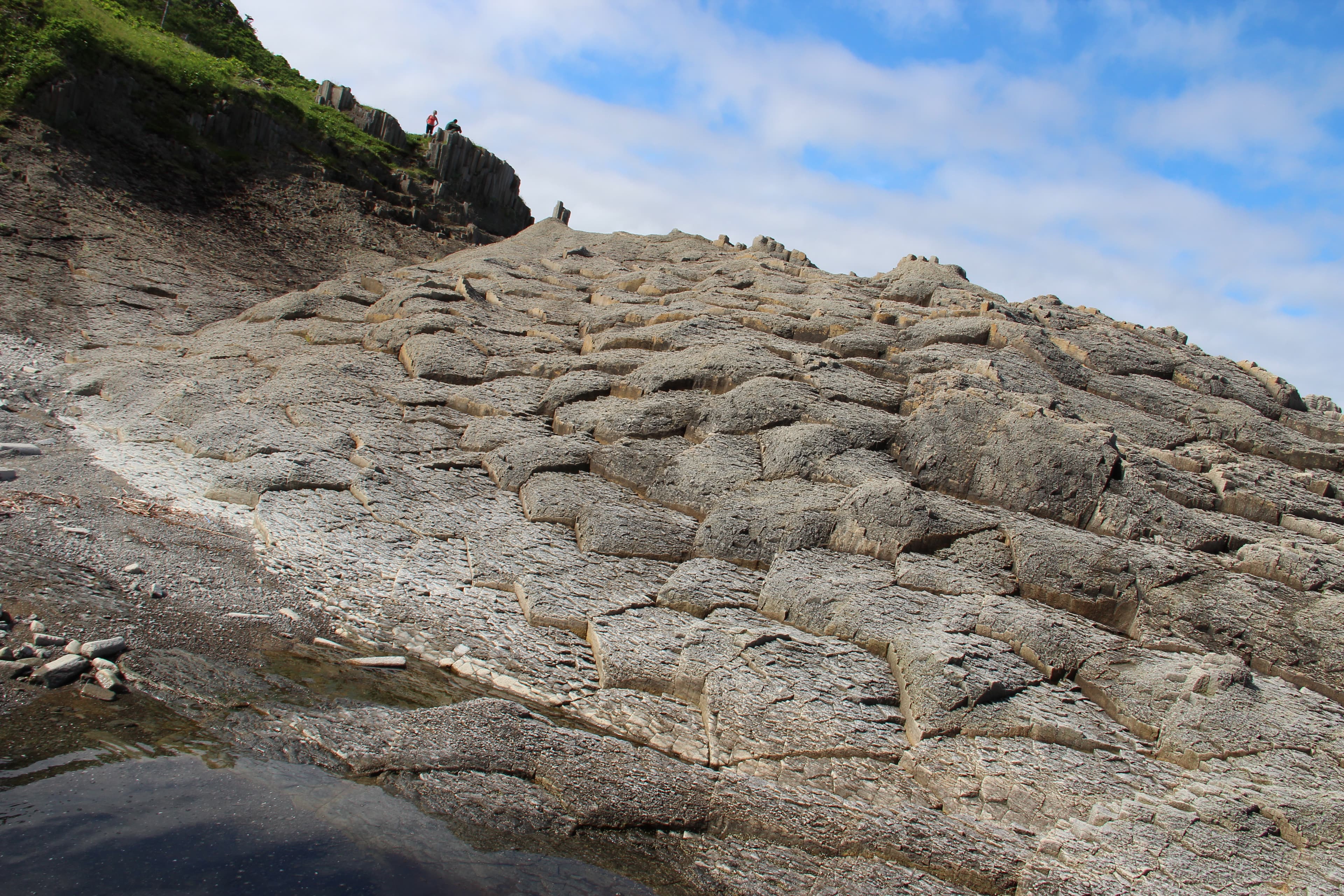 Экскурсия на мыс Столбчатый - фото 10