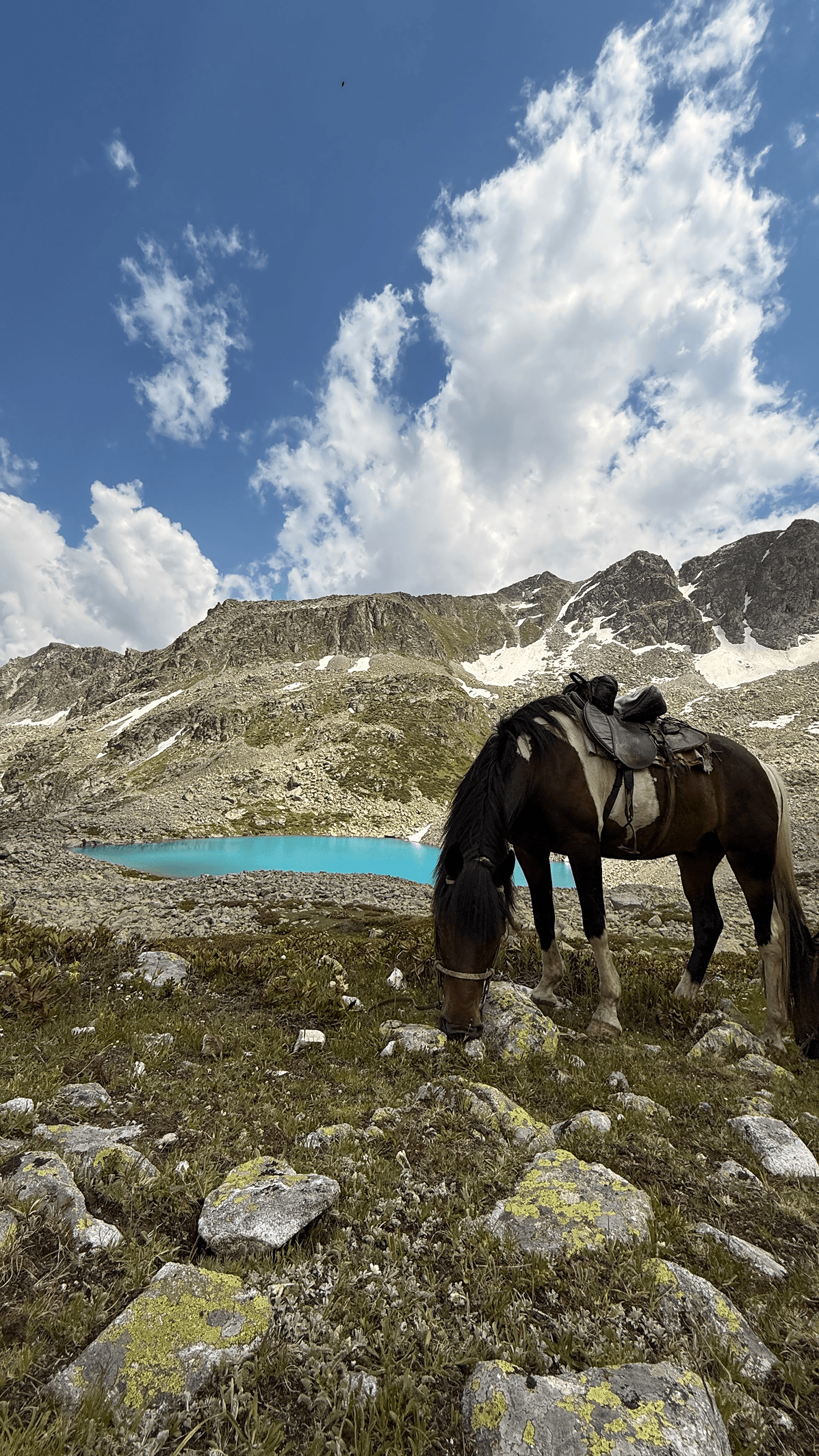 КОННЫЙ ТУР В СЕРДЦЕ ГОР КАВКАЗА - фото 7