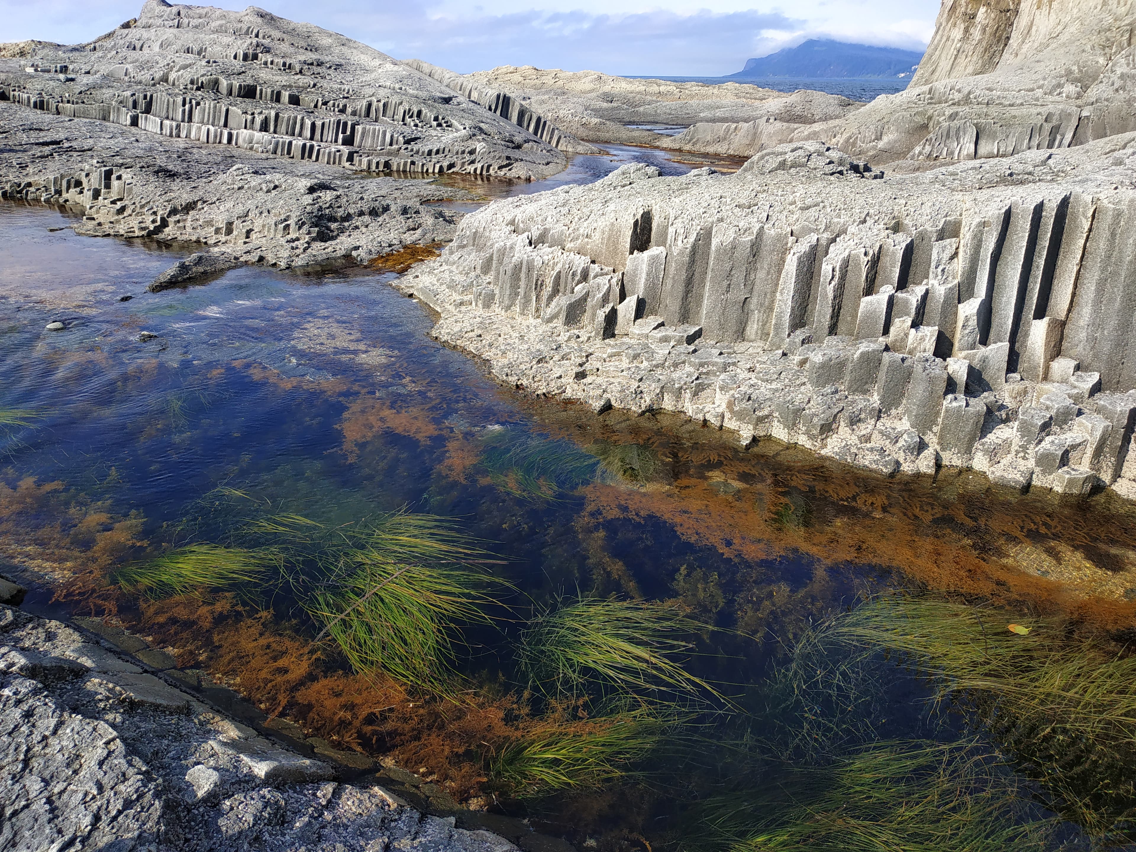 Экскурсия на мыс Столбчатый - фото 7