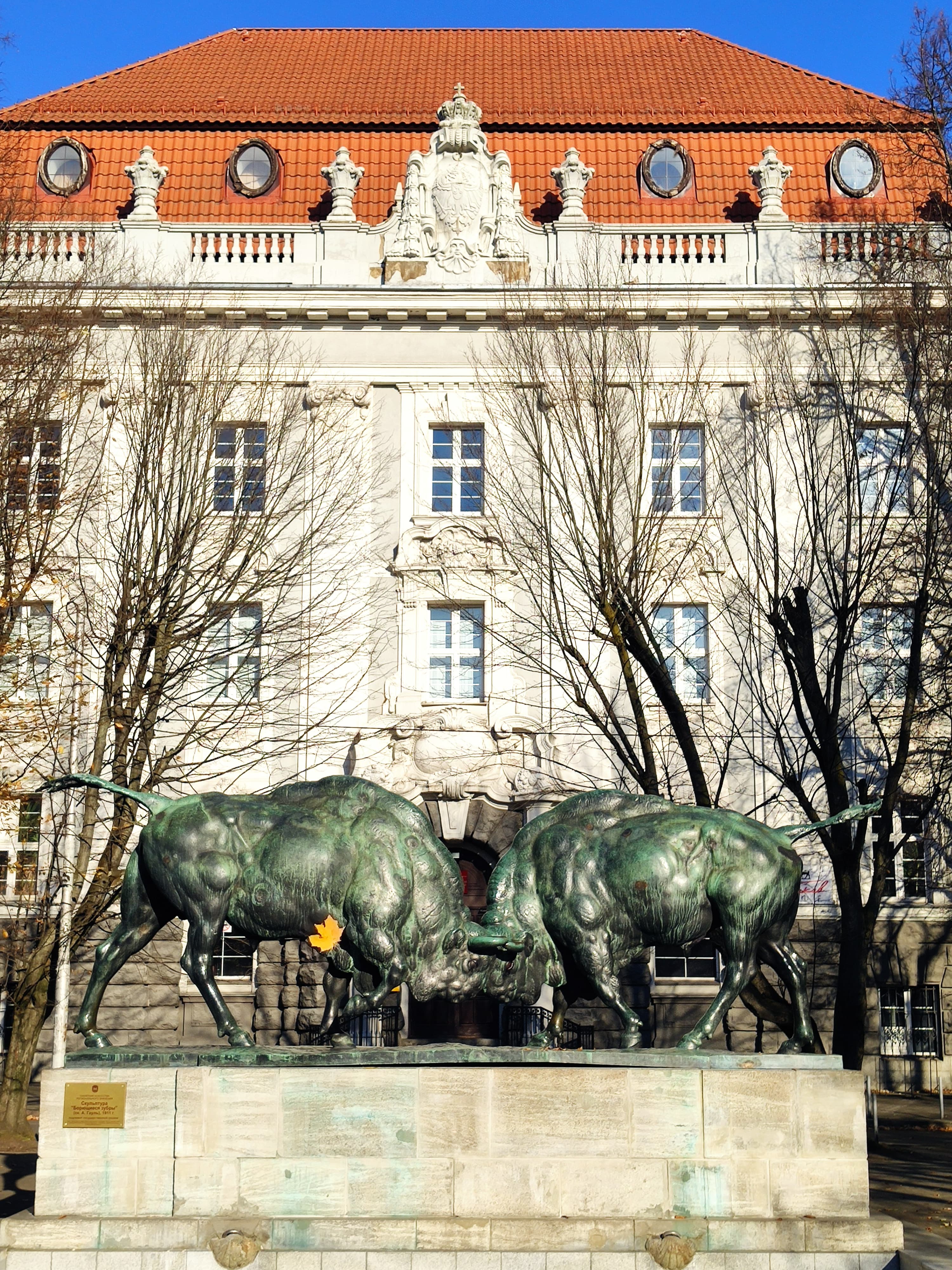 Обзорная экскурсия по Калининграду