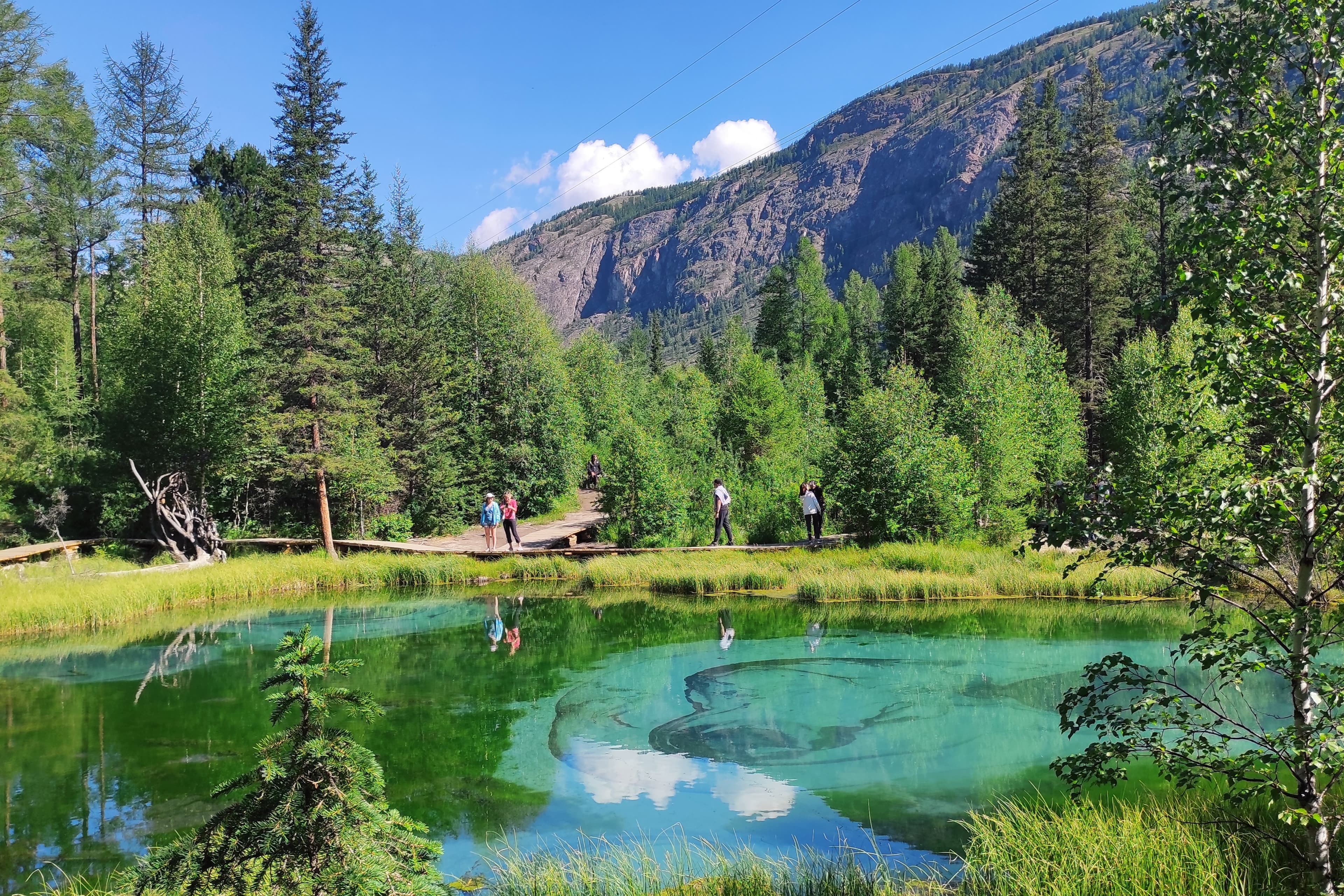 "Топ-5 красот Алтая", тур первого знакомства - фото 4