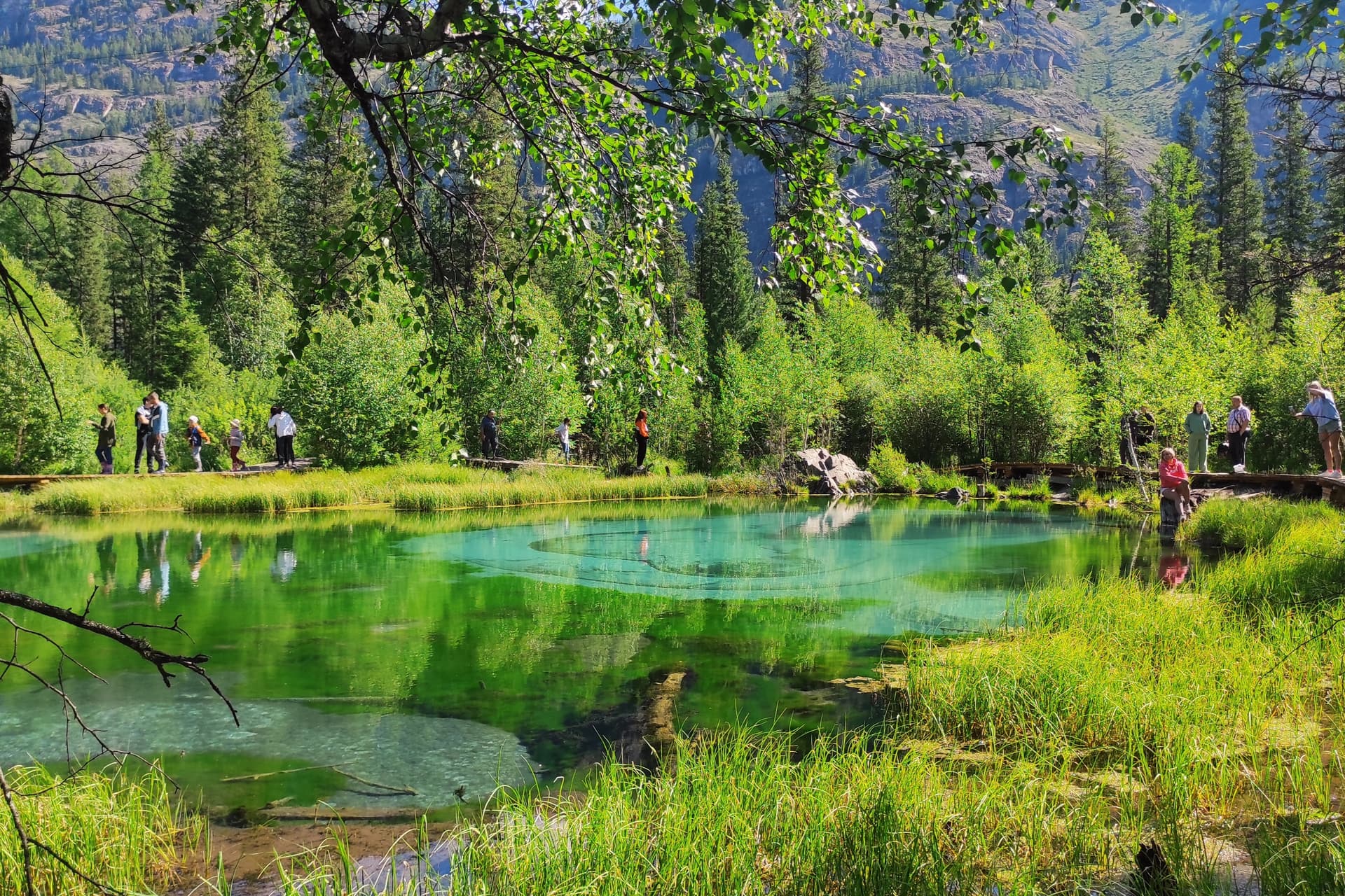 "Топ-7 красот Алтая", полное погружение в красоту - фото 5