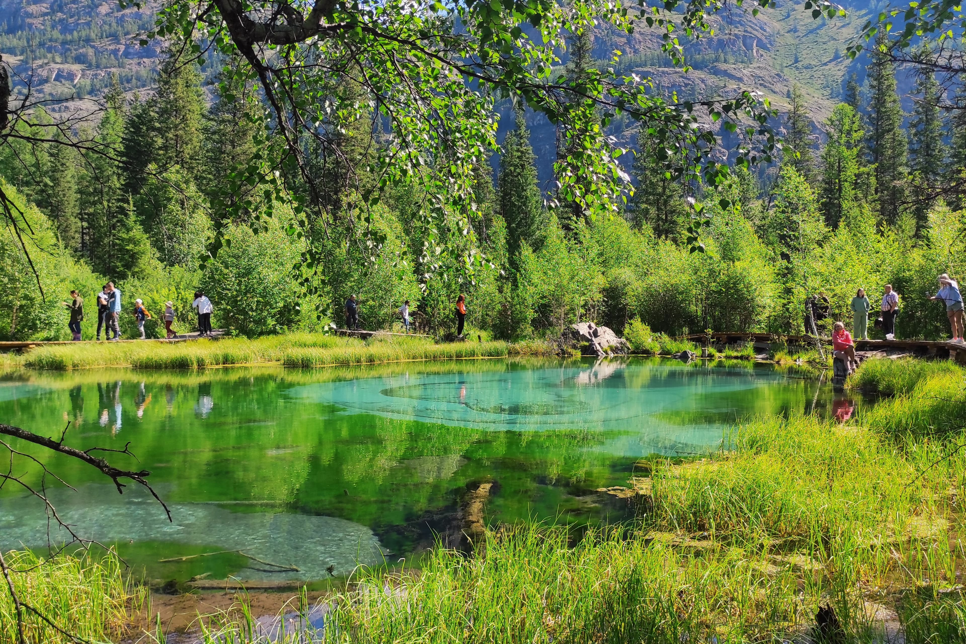 "Топ-7 красот Алтая", полное погружение в красоту - фото 5